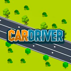Car Driver