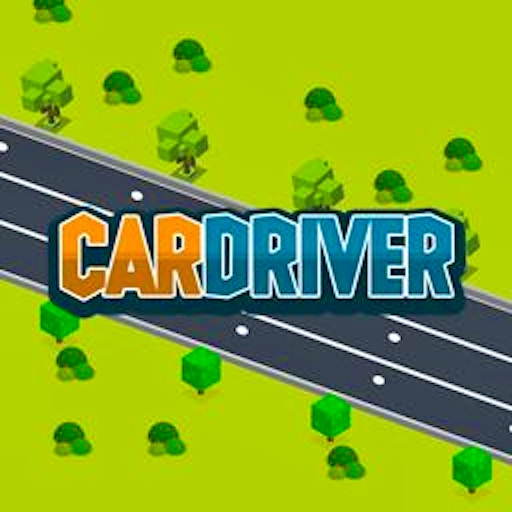 Car Driver