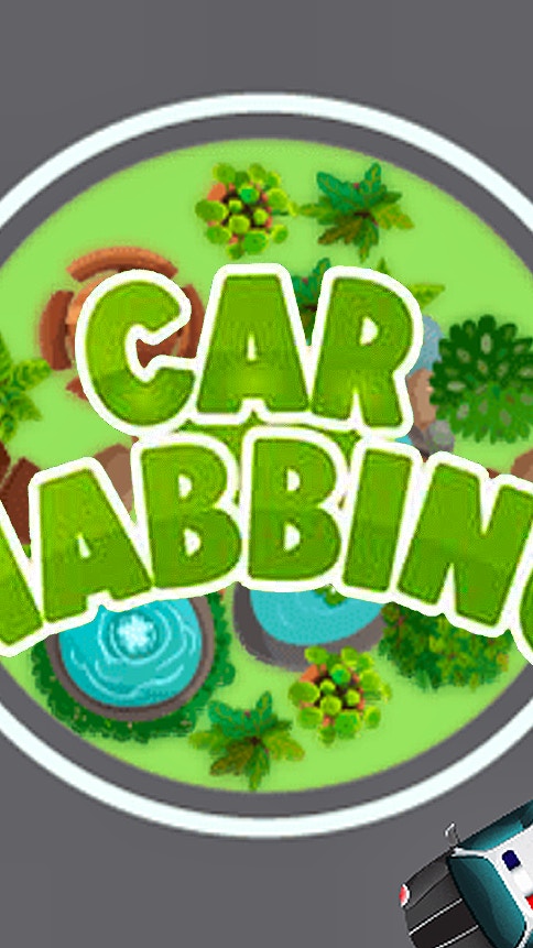 Car Nabbing Race - The Police Car Chase