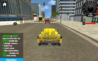 Car Simulation Game