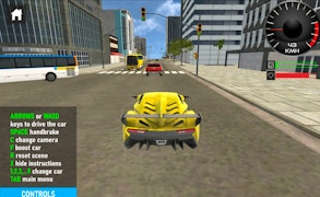 Car Simulation Game