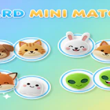 Card Mini Match
