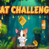 Cat Challenge