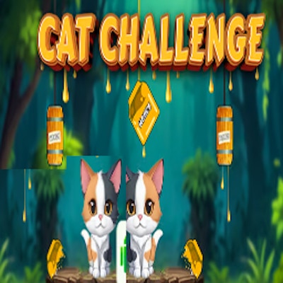 Cat Challenge By Gamepix