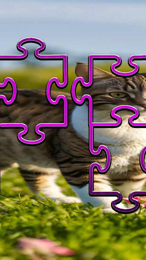 Cat Jigsaw Puzzle Frenzy