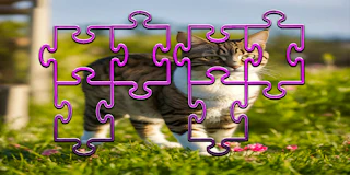 Cat Jigsaw Puzzle Frenzy thumbnail