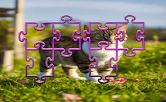 Cat Jigsaw Puzzle Frenzy