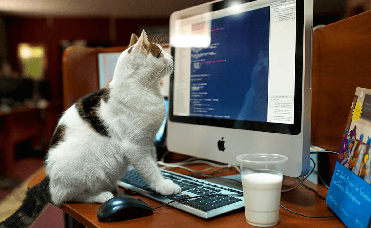 Play Cat Memory Match — free online Animal game
