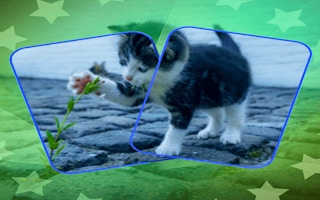 Cat Puzzle Memory Match