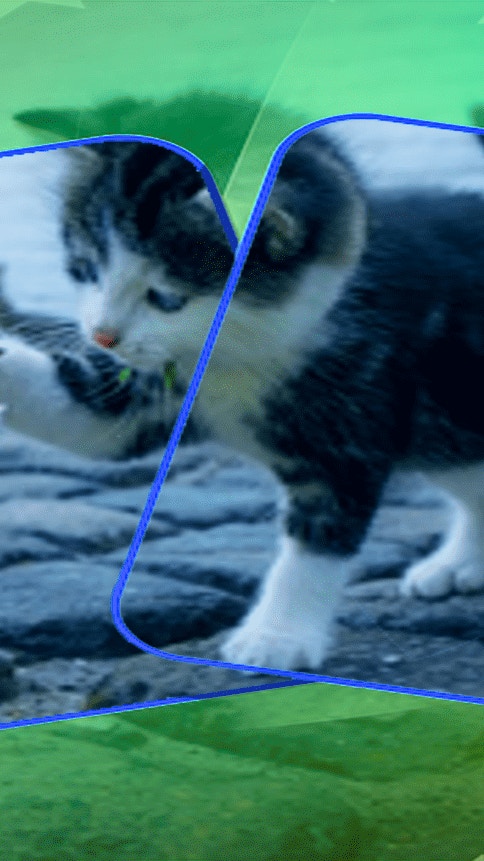 Cat Puzzle Memory Match