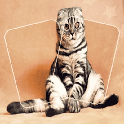 Cat Puzzle Memory Match By Gamepix