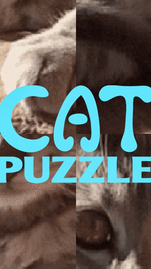 Cat Puzzle