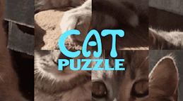 猫咪拼图 (Cat Puzzle)