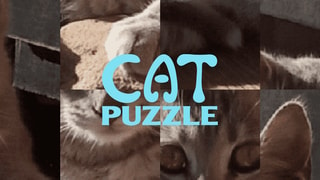 Cat Puzzle