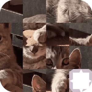 Cat Puzzle Thumbnail