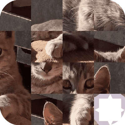 Cat Puzzle By Gamepix