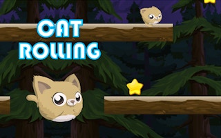 Cat Rolling game cover