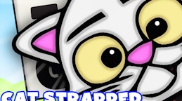 Cat Strapped