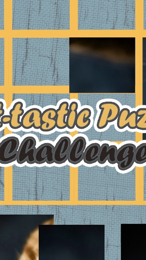 Cat-tastic Puzzle Challenge