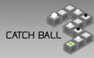 Catch Ball game cover