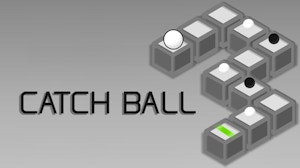 Image for Catch Ball