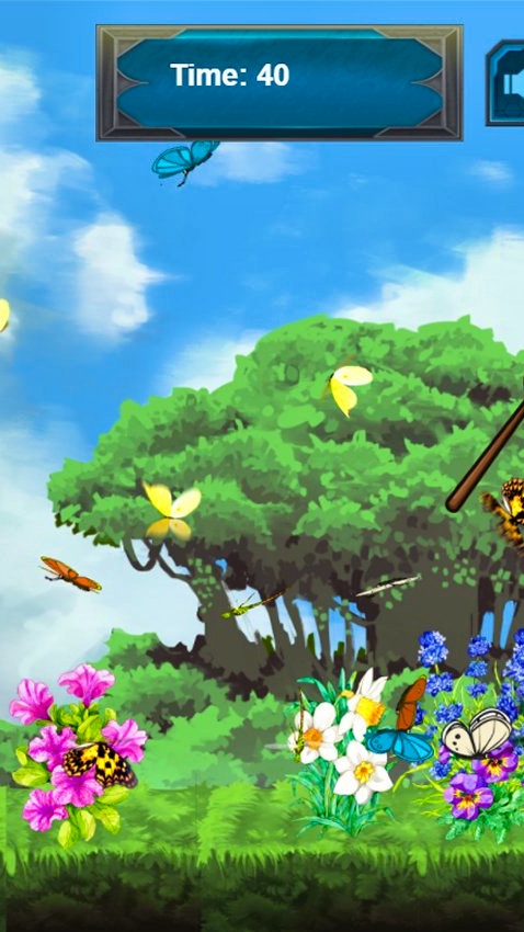 Catch Butterflies