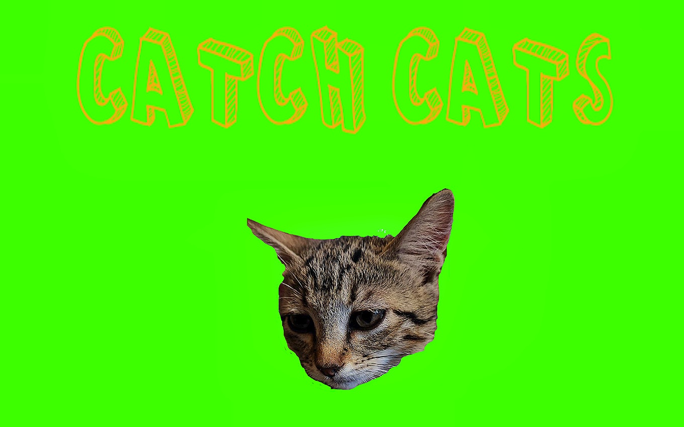 Catch Cats