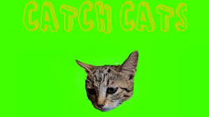 Image for Catch Cats