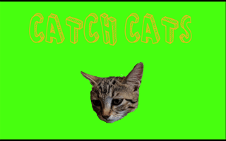 Catch Cats game cover