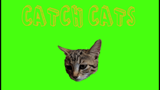 Catch Cats