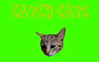 Catch Cats game cover