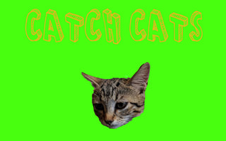 Juega gratis a Catch Cats