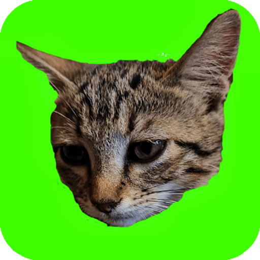 https://img.gamepix.com/games/catch-cats/icon/catch-cats.png?w=512