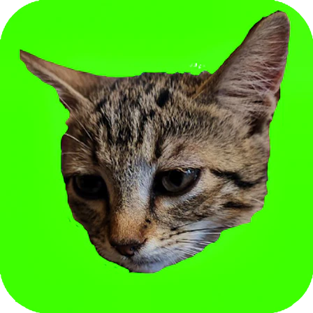 Catch Cats game thumbnail
