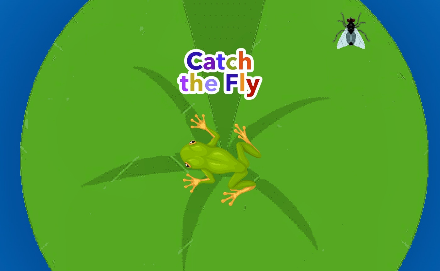 Catch the Fly