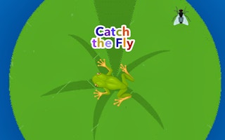 Catch The Fly