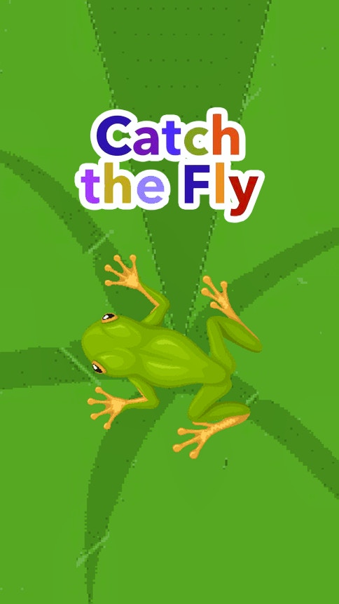 Catch the Fly