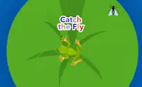 Catch the Fly