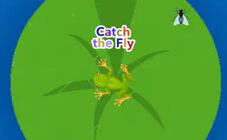 Catch the Fly