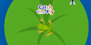 Catch the Fly thumbnail