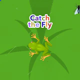 Catch the Fly