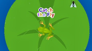 Image for Catch the Fly