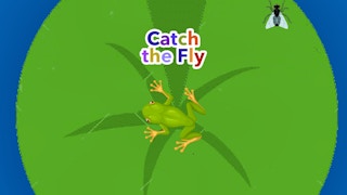 Catch The Fly game cover