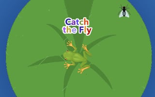 Catch The Fly game cover