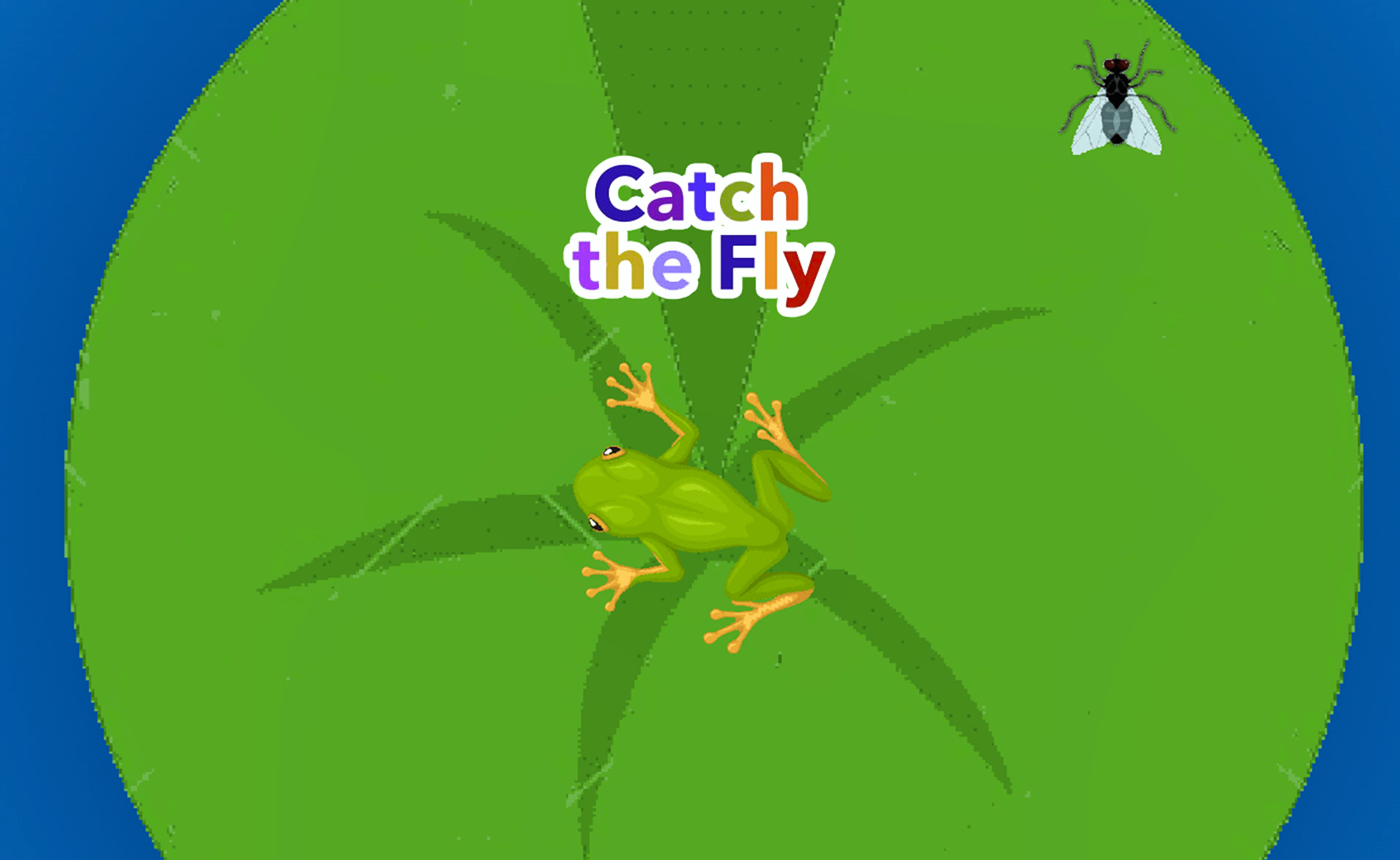 Catch the Fly