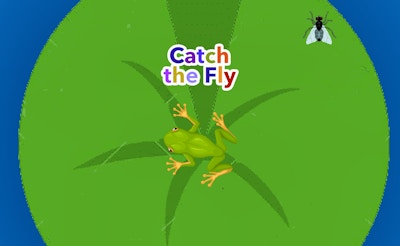 Catch the Fly game