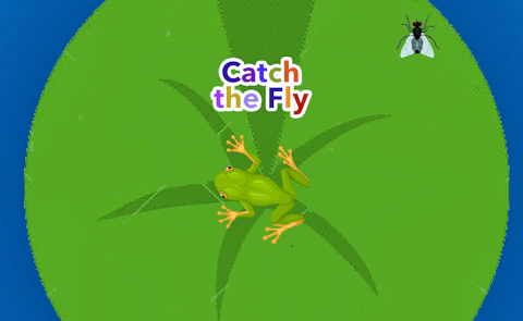 Catch the Fly game artwork