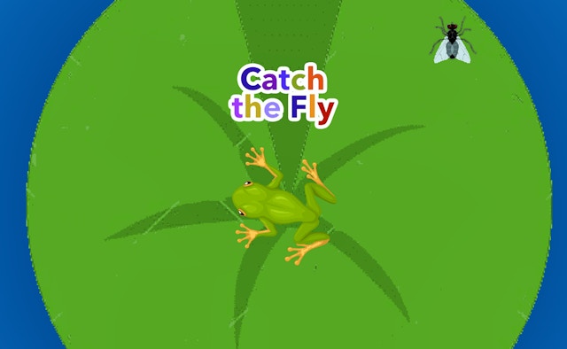 Catch The Fly