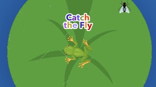 Catch the Fly