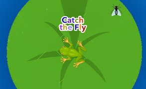 Catch the Fly